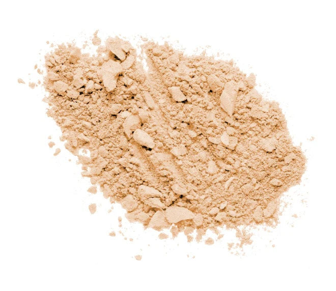 WET N WILD PHOTOFOCUS LOOSE SETTING POWDER
